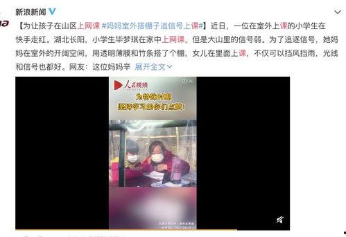 水莓100在线视频,揭秘在线视频的精彩瞬间与幕后故事