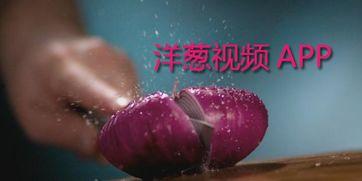 洋葱视频,揭秘生活百态，笑对人生
